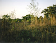 Carson-Gilliland-14