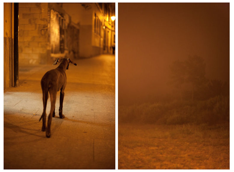 Diptychs - Nikita Pirogov - Phases Magazine