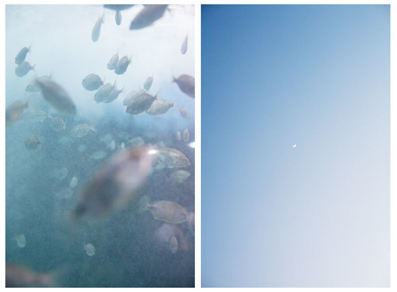 Diptychs - Nikita Pirogov - Phases Magazine