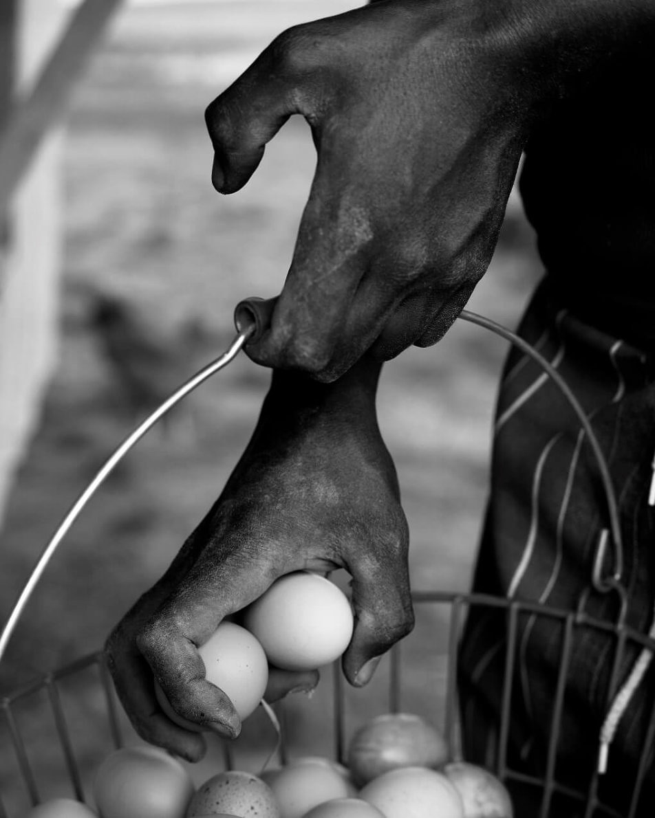 Sam Contis サム・コンティス Deep Springs 絶版 Sam Contis Deep Springs, 2017 - Klaus von Nichtssagend