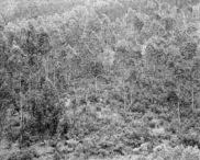 Clement-Verger-06