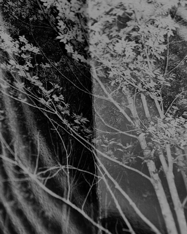 The Letting Go - Anastasia Davis - Phases Magazine