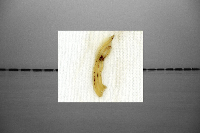 echo, frame, flux - Atsushi Momoi - Phases Magazine