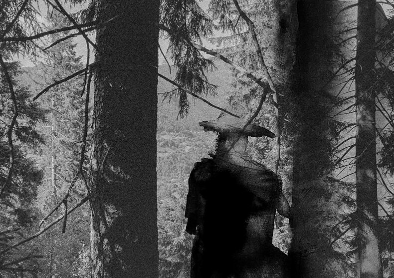 Of All the Wild Paths - Claire Amaouche - Phases Magazine