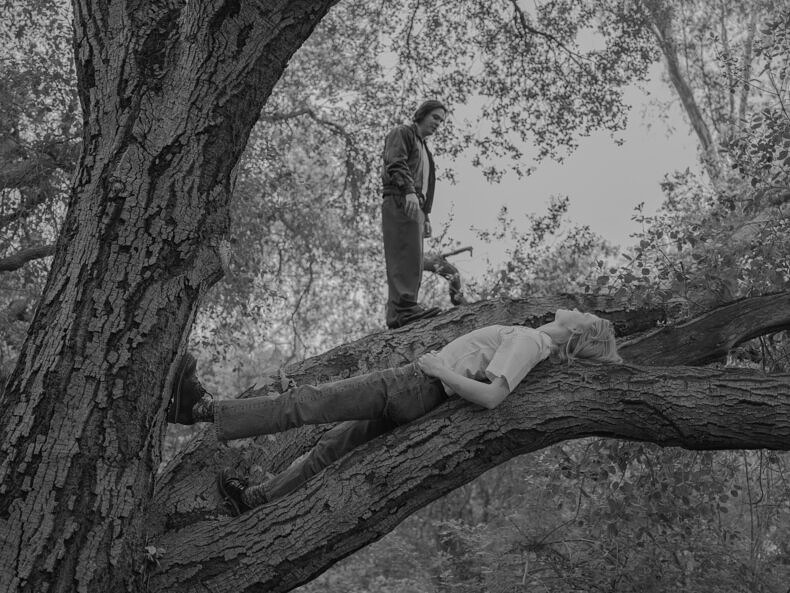 The Oak Echoes - Stephen Ross Goldstein - Phases Magazine