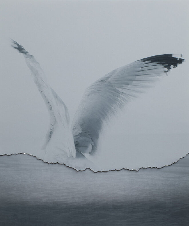 Memoryscapes - Marilia Destot - Phases Magazine