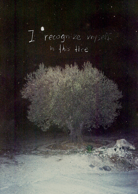 Doesn’t the food taste a little strange to you? - Antonia Petriti - Phases Magazine