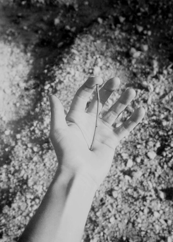 Doesn’t the food taste a little strange to you? - Antonia Petriti - Phases Magazine