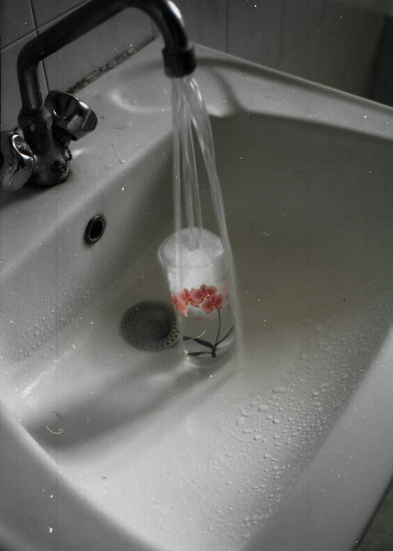 Doesn’t the food taste a little strange to you? - Antonia Petriti - Phases Magazine