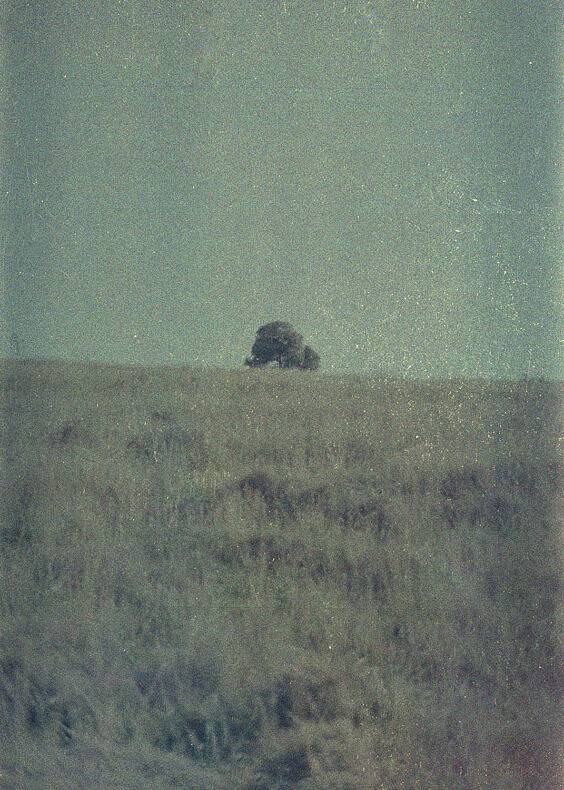 Doesn’t the food taste a little strange to you? - Antonia Petriti - Phases Magazine