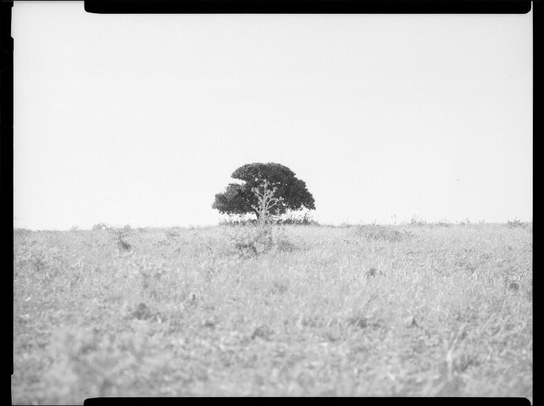 RAW WAR - Aziza - Phases Magazine