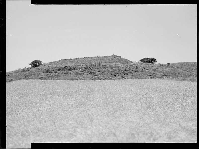 RAW WAR - Aziza - Phases Magazine