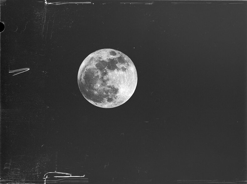 RAW WAR - Aziza - Phases Magazine