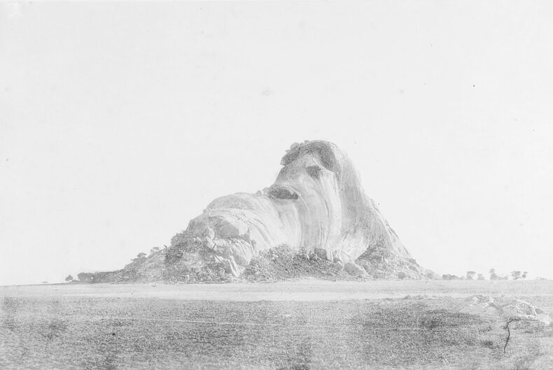 RAW WAR - Aziza - Phases Magazine