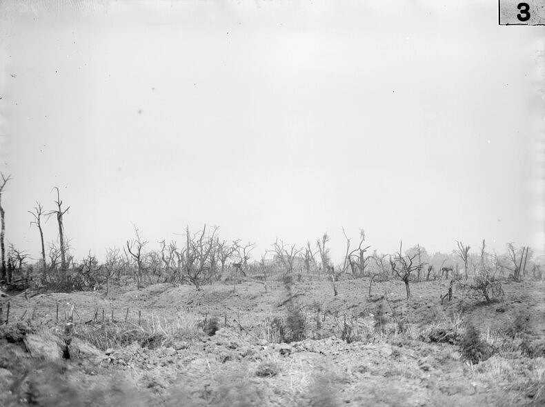 RAW WAR - Aziza - Phases Magazine