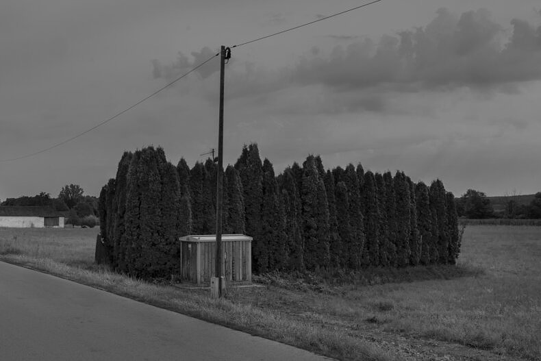 Nexus - Nynke Brandsma - Phases Magazine