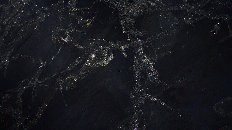 Nexus - Nynke Brandsma - Phases Magazine