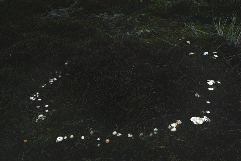 Nexus - Nynke Brandsma - Phases Magazine