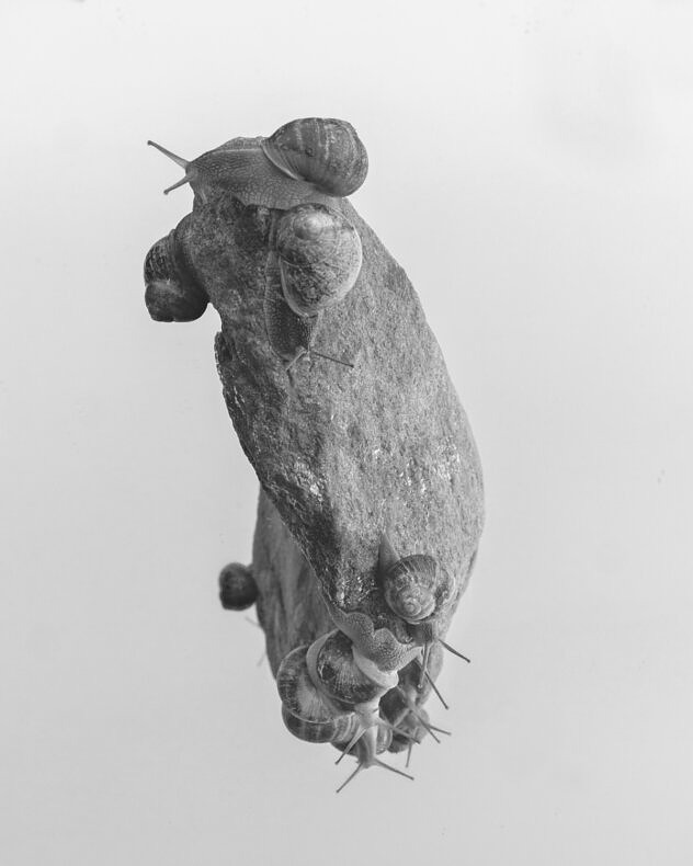 Nexus - Nynke Brandsma - Phases Magazine