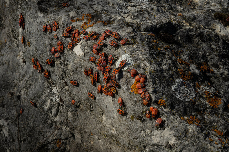 Nexus - Nynke Brandsma - Phases Magazine