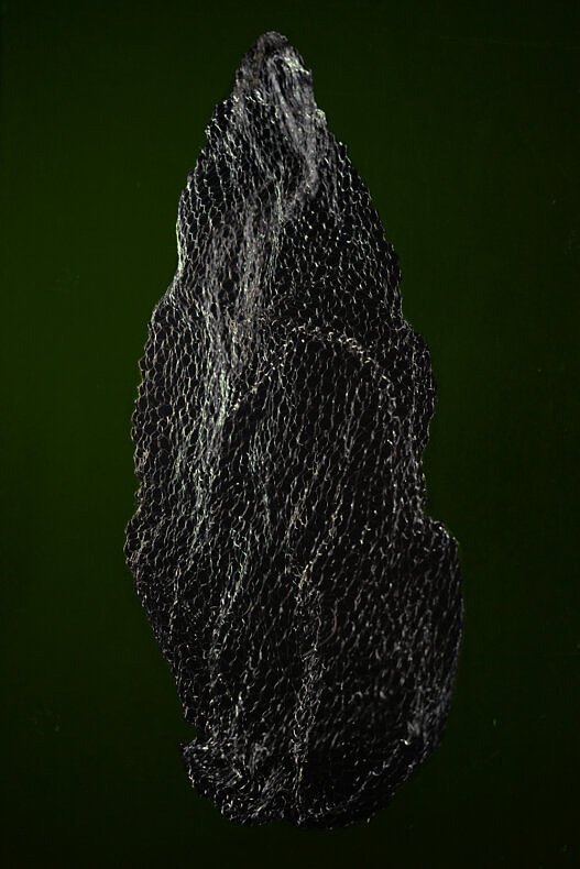 Nexus - Nynke Brandsma - Phases Magazine