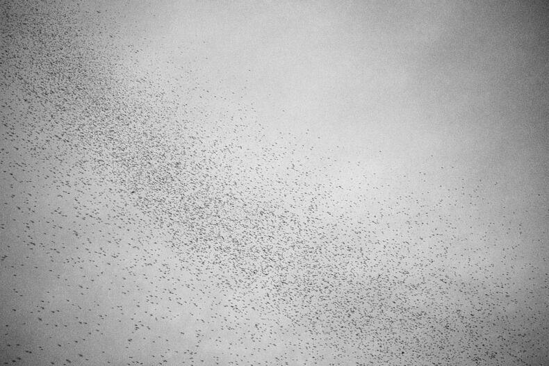 Nexus - Nynke Brandsma - Phases Magazine