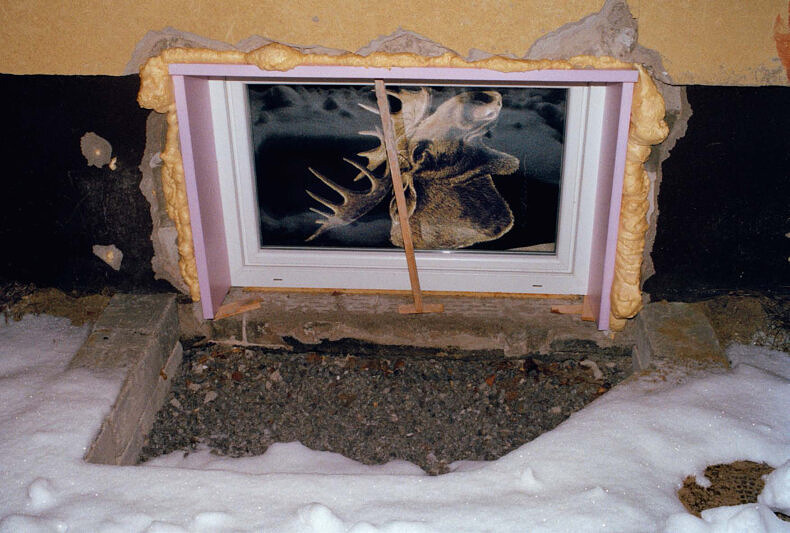 This Much is True - Albert Elm - Phases Magazine