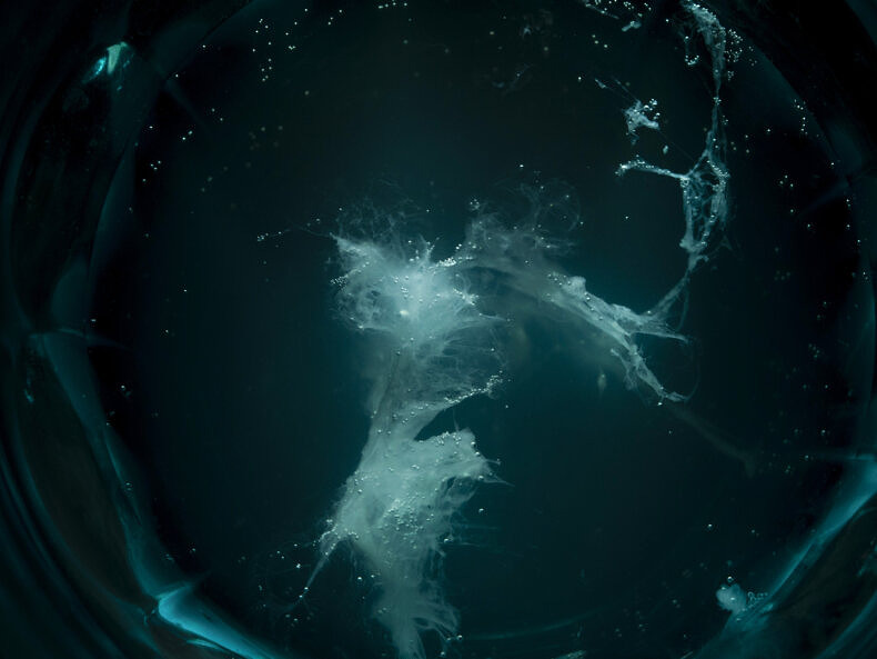 As long as the Sun lasts - Erica Bardi - Phases Magazine