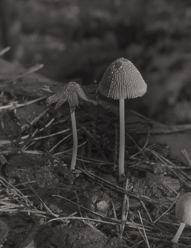 As Long As The Sun Lasts - Joselito Verschaeve - Phases Magazine