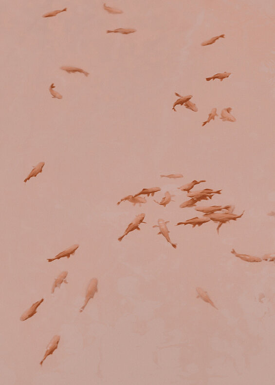 Farewell to the Night - Yorgos Yatromanolakis - Phases Magazine