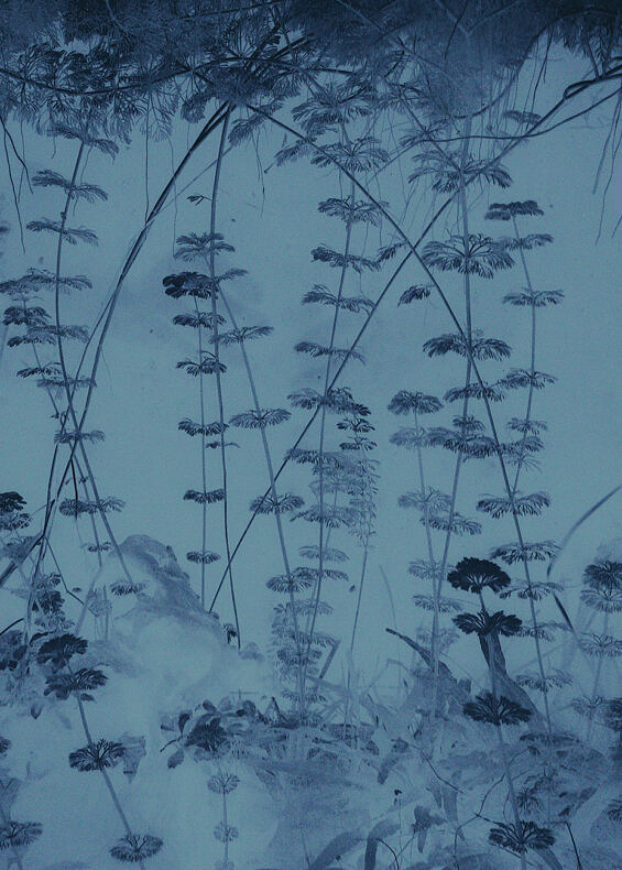 Farewell to the Night - Yorgos Yatromanolakis - Phases Magazine