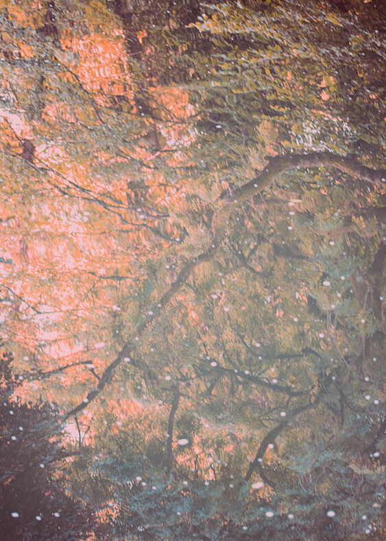 Farewell to the Night - Yorgos Yatromanolakis - Phases Magazine