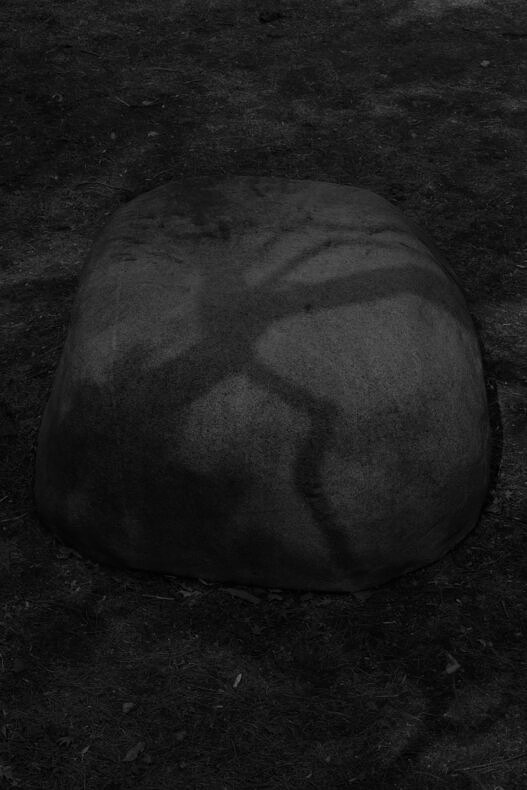 North of The Fortress, South of The Forest - Aram Tanis - Phases Magazine