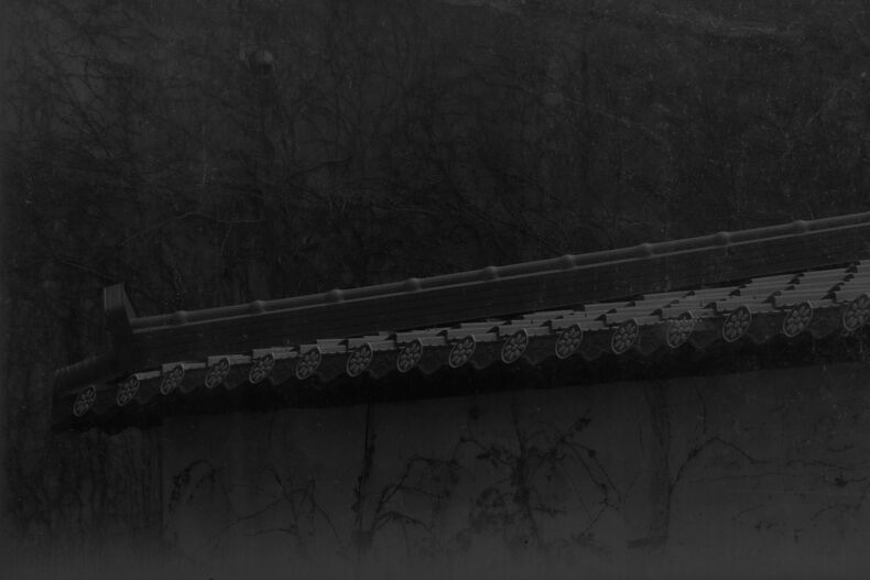 North of The Fortress, South of The Forest - Aram Tanis - Phases Magazine