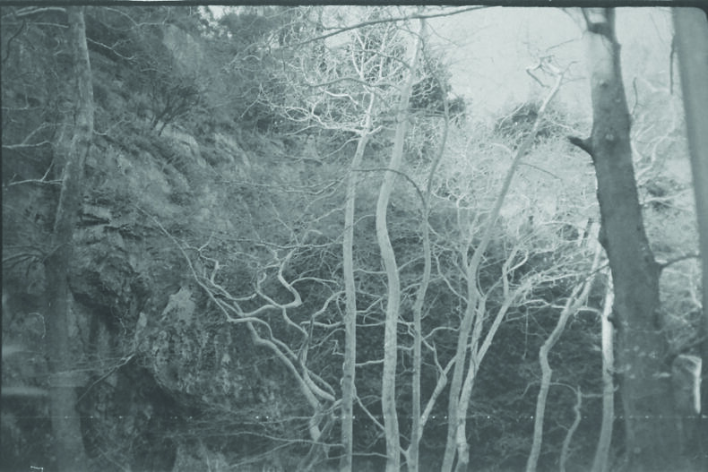 Snowbed - Georgia Ponirakou - Phases Magazine