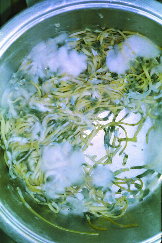 Snowbed - Georgia Ponirakou - Phases Magazine