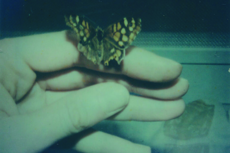 Snowbed - Georgia Ponirakou - Phases Magazine