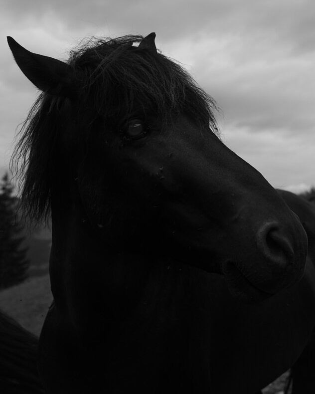 Between the mountain and the river - Rick Van Der Klooster - Phases Magazine