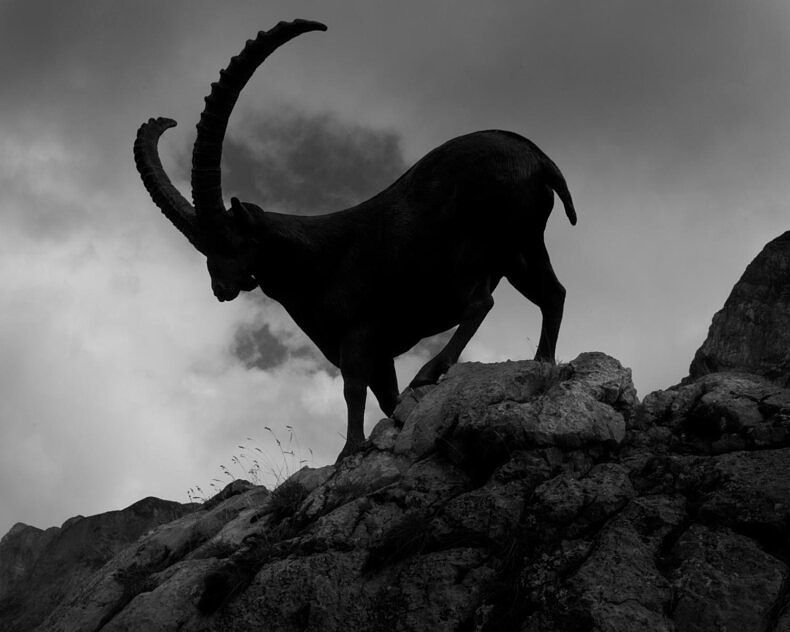 Between the mountain and the river - Rick Van Der Klooster - Phases Magazine