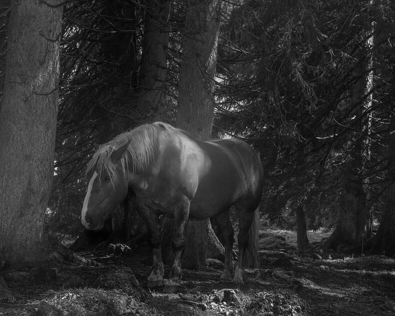 Between the mountain and the river - Rick Van Der Klooster - Phases Magazine