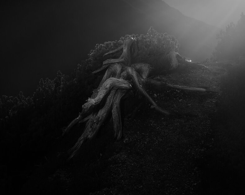 Between the mountain and the river - Rick Van Der Klooster - Phases Magazine